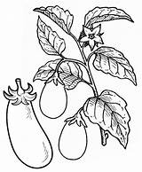 Eggplant Sheets Coloringfolder sketch template