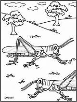 Insect Coloring Colouring Printable Pages Kids Sheets Teachers Great Library Clipart Cartoon sketch template