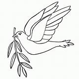 Dove Doves Library Clipart Swallow sketch template