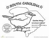 South Carolina Coloring Bird State Designlooter sketch template