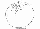 Pomodoro Frutta Mela Albicocca Disegnidacolorare sketch template