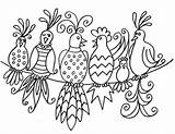 Patterns Drawings Birds Bird Drawing Pattern Embroidery Painting Trace Gossip Colouring Pages Coloring Rock Paper Line Vintage Books Suzyssitcom Adult sketch template