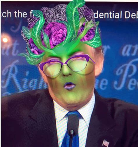Your Political Identity Based On What Snapchat Filter You