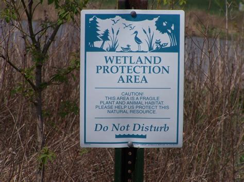 river bend silver glen trail  wetland protection area