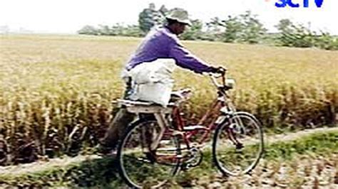 petani khawatir masuknya beras impor news liputancom