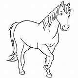 Ausmalen Pferd Bibi Ausmalbildertv Pferde Kostenlose Zeichnen sketch template