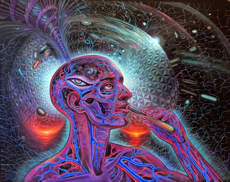 augureye express dmt and the persistent illusion