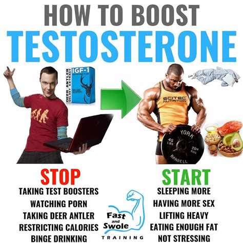 Five Myths About Testosterone No It Didn’t Cause The 2008 Market