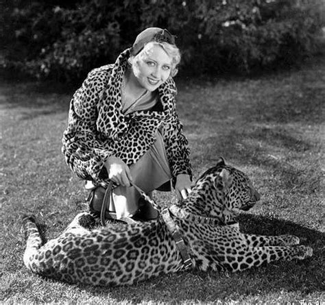 160 best leopard images on pinterest