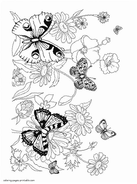 mariposas butterfly coloring page flowers  mom flower printable