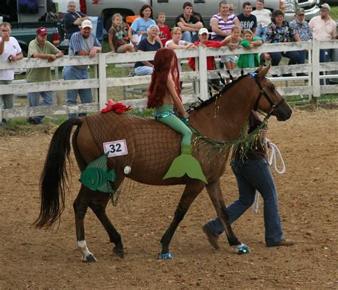 wash  fair horse show     washington county fair flickr