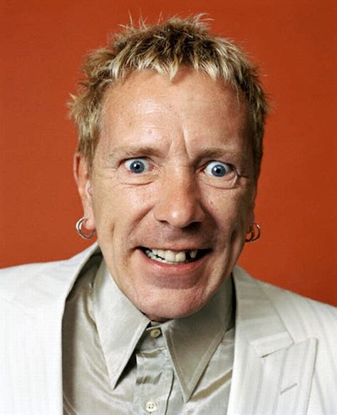 the sex pistols john lydon to rot or not to rot hip quotient