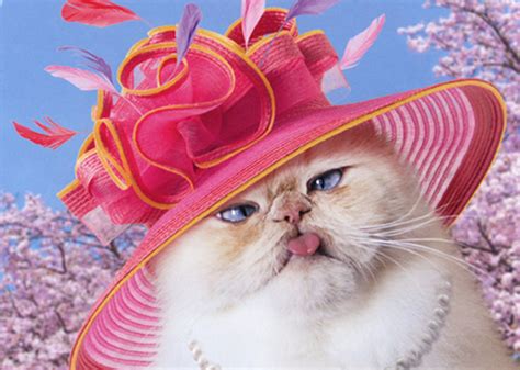 Avanti Press Cat With Fancy Easter Bonnet Funny Humorous Easter Card
