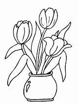 Vase Tulips Colouring Coloringpage Ca Tulpen Pages Coloring Colour Flowers Check Category sketch template