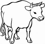 Krowa Kolorowanka Idzie Pastwisko Vaca Druku Kategorii Supercoloring sketch template