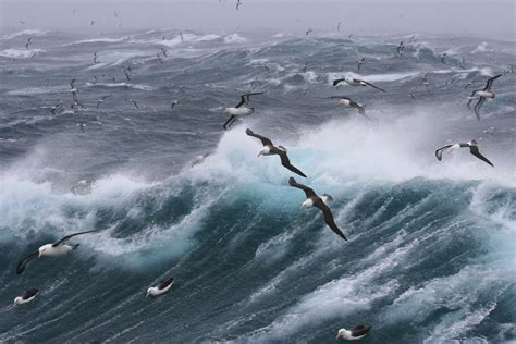 drake passage  infamous ocean voyage  antarctica