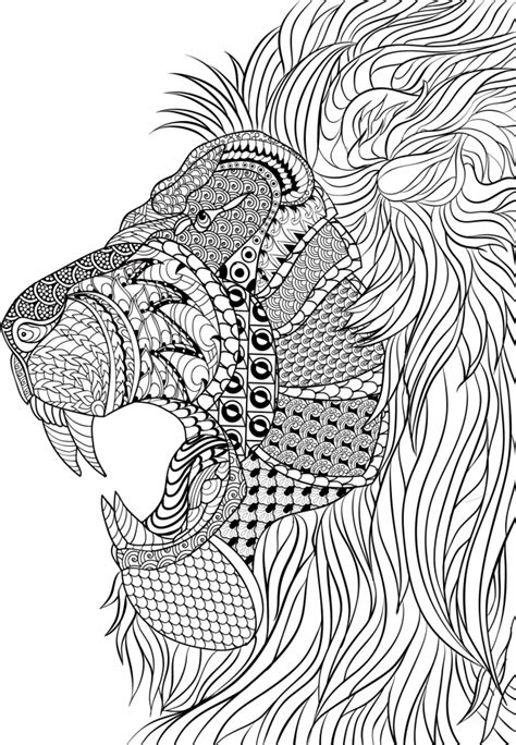 lion coloring pages  adults  printable