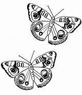 Butterfly Coloring Butterflies Pages Clipart Cliparts Two Flying Cartoon Clip Library Applique Button Print Click Gif Large Google Book Shavuot sketch template