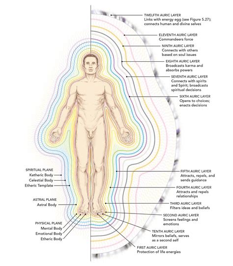 anatomy  energy  guide   human energy fields  etheric bodies operation disclosure