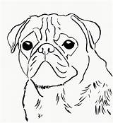 Pug Coloring Pages Print Puppy Dog Printable Pugs Drawing Face Baby Kids Sad Template Cute Puggle Color Easy Puppies Adults sketch template