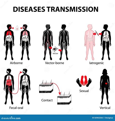 disease transmission stock vector image