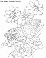 Coloring Butterflies Musings Inkspired Color Tutorial Need If Fritillary Spangled sketch template