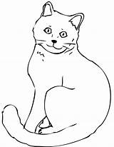 Cat Coloring Pages Colouring Color Printable Kids Read Dog sketch template