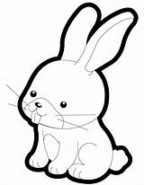 Bunny Rabbit Drawing Coloring Cartoon Rabbits Baby Popular Happy sketch template