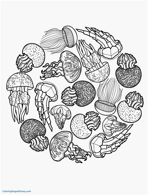 jellyfish coloring page images
