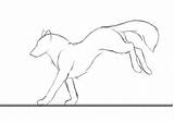 Wolf Cycle Wolves Traceable Lobo Moyiki Sketc sketch template