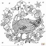 Christmas Coloring Zentangle Pages Goose Printable Doodle Hat Apples Supercoloring Funny Duck Vector Getcolorings Tree Navidad Color Colorings Animals Visit sketch template