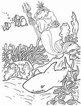 Triton Reef sketch template
