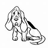Hound Dog Basset Drawings Bloodhound Draw Coloring Pages Drawing Outline Dogs Step Head Wikihow Getcolorings Color Getdrawings Clipartmag sketch template