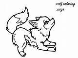 Wolf Coloring Baby Color Pages Print sketch template