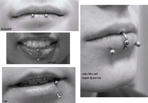 Everything You Need To Know About Oral Piercings Tatring