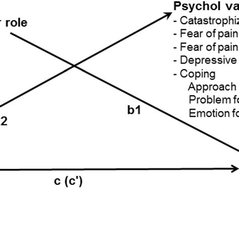 Model Of Associations Between Sex Gender Role Psychological Factors