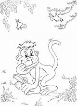 Banana Monkey Eating Coloring sketch template
