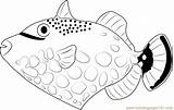 Trigger Fish Clown Coloring Pages Clip Coloringpages101 Color Getcolorings sketch template