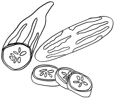 vegetable cucumber coloring pages printable  kids