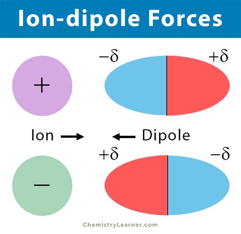 ion dipole forces interaction definition  examples