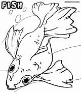 Fish Coloring Pages Ray Drawing Getdrawings sketch template