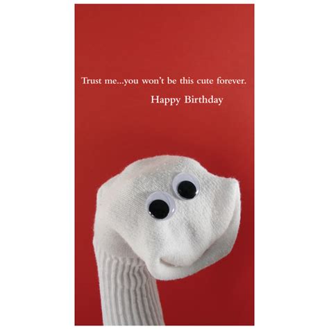 Quiplip Cute Birthday Greeting Card From The Sock Ems