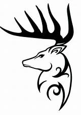 Deer Tribal Tattoo Drawing Head Skull Designs Outline Clipart Antler Elk Drawings Easy Tattoos Whitetail Tatoo Cliparts Decal Buck Silhouette sketch template