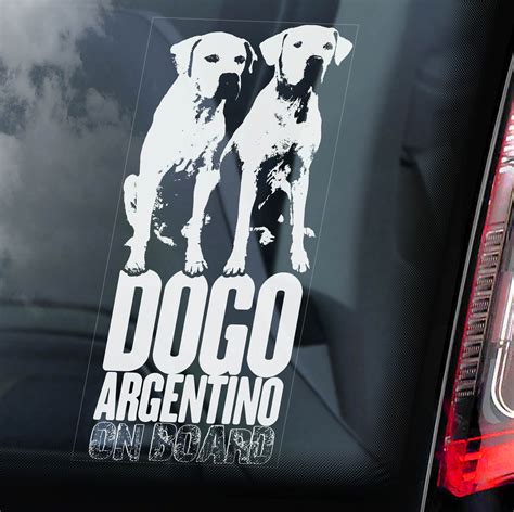 autonalepky argentinska doga dvojice showdogcz doplnky pro vystavni psy  majitele