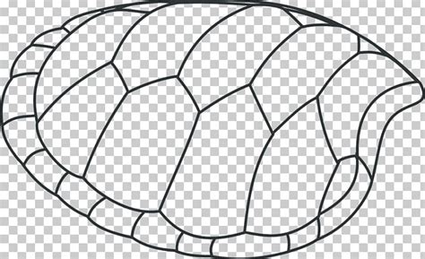 turtle shell sea turtle coloring book seashell png clipart angle