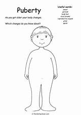 Puberty Resources Worksheet Changes Body Tes Teaching Adolesence sketch template