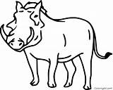 Warthog Pages Coloringall sketch template