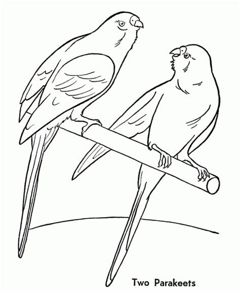 domestic animals coloring pages  kids coloring home
