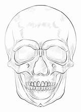 Skull Drawing Draw Human Coloring Pages Step Face Sketch Printable Anatomy Beginners Half Mouth Drawings Kids Proportion Tutorial Skulls Realistic sketch template