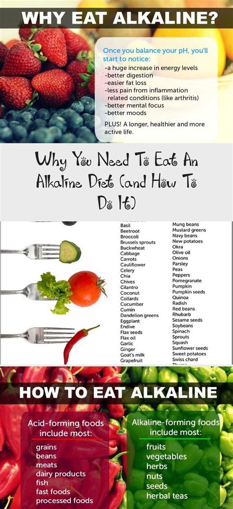 Printable Alkaline Food List